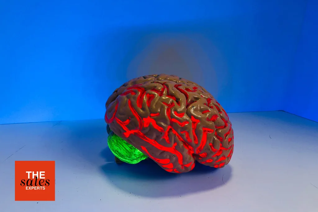 Sales Mindset, Focus & Mental Preparation for Selling