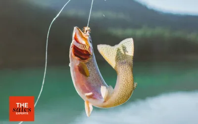 Addressability – Know Where to Fish!