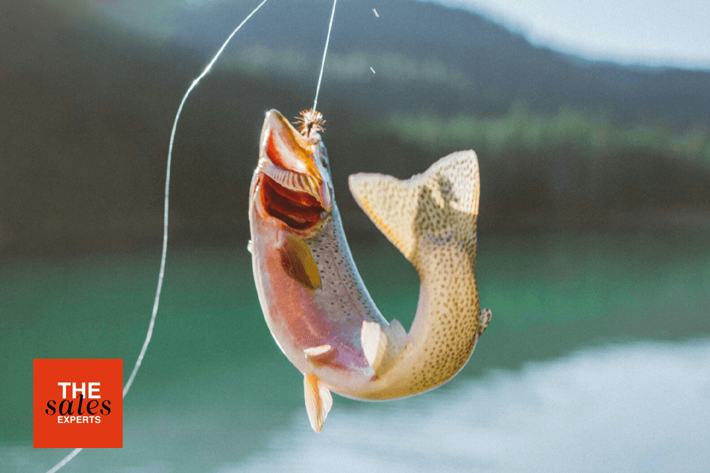 Addressability – Know Where to Fish!