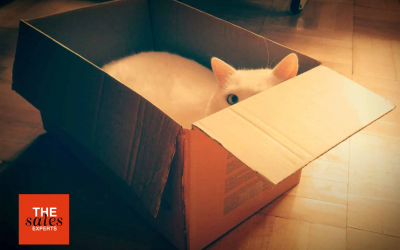 Why Small Businesses Stay Small (and How to Break Through)