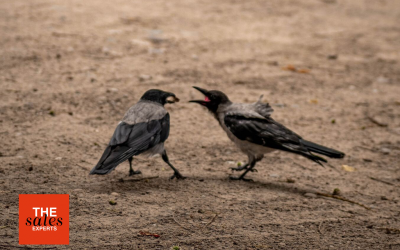 The Fallacy of Price Objection