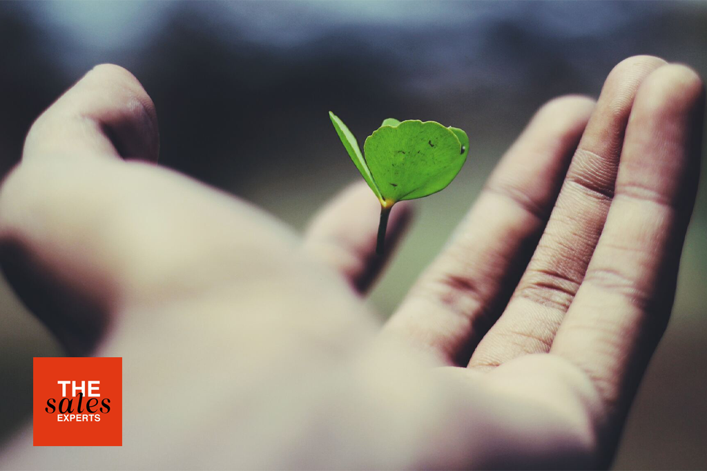 Sales Coaching for Team Performance