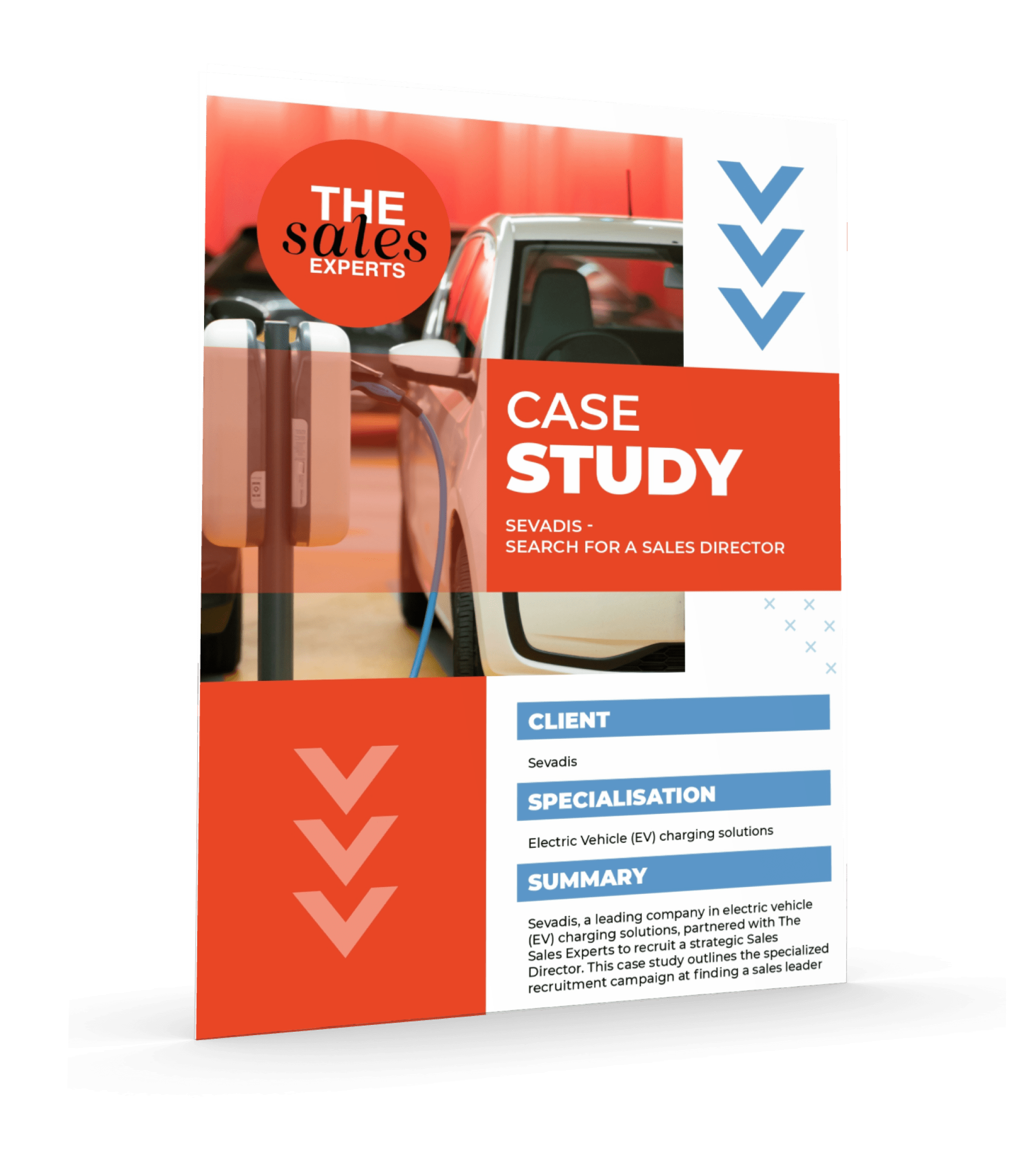 Case Study - Sevadis - Search for a Sales Director